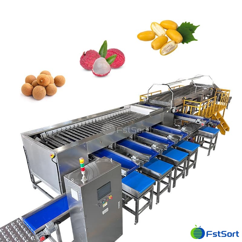 images/1765332404386lychee processing 2.jpg